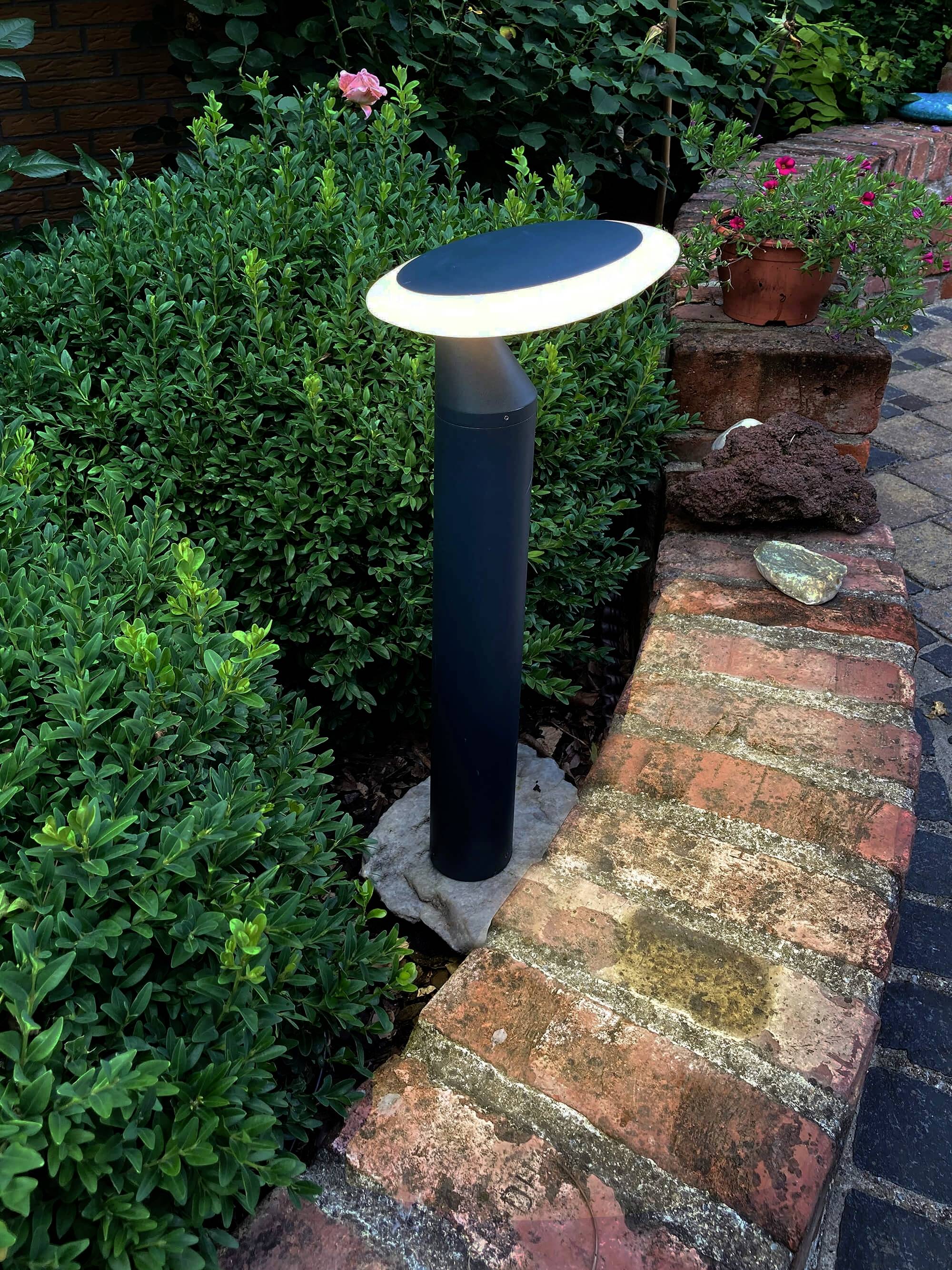 Moderná záhradná lampa osvetľuje chodník vedľa zelených kríkov a tehlového okraja v záhrade.