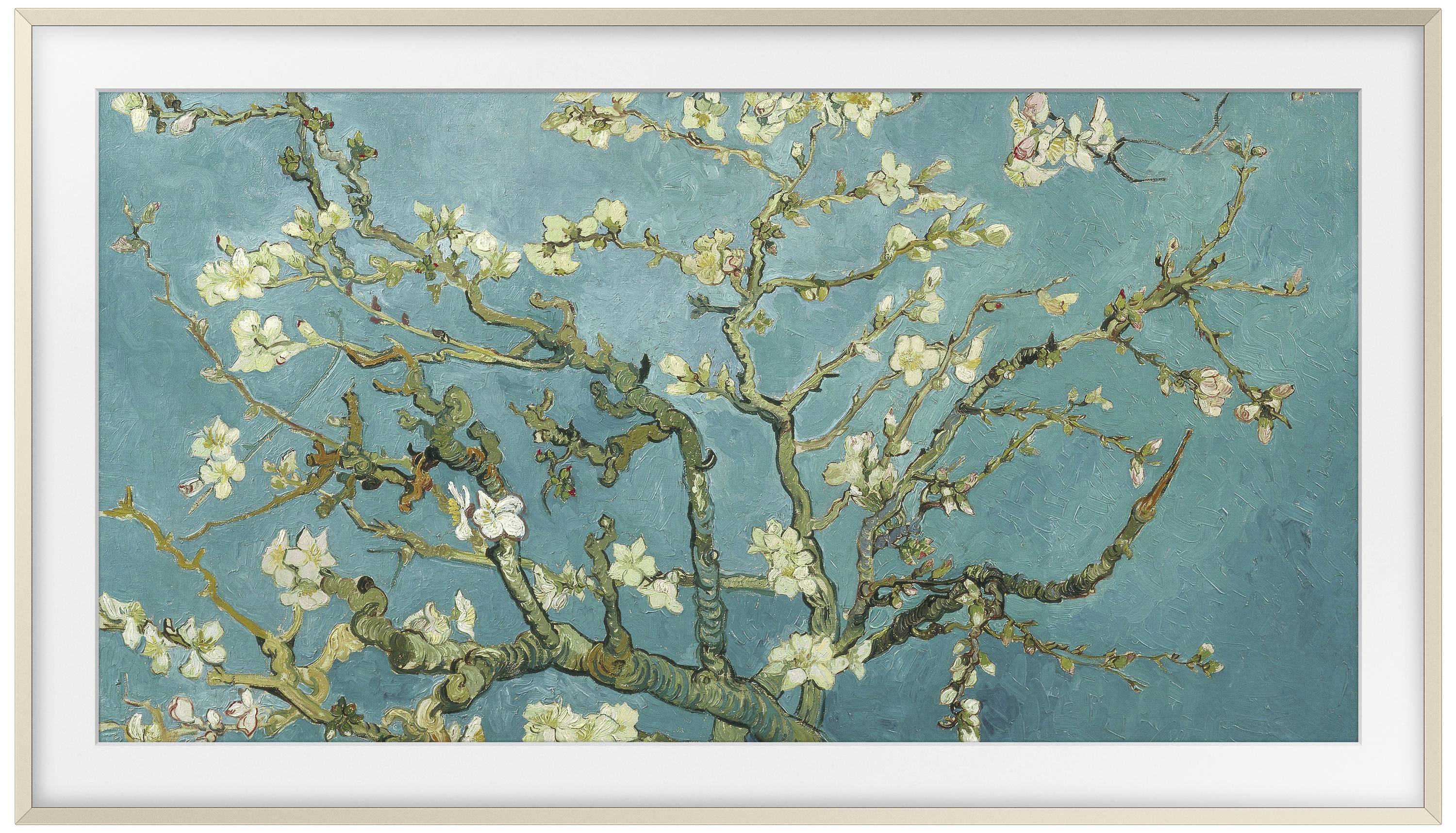 Samsung VG-SCFC55SGMXC Cornice TV