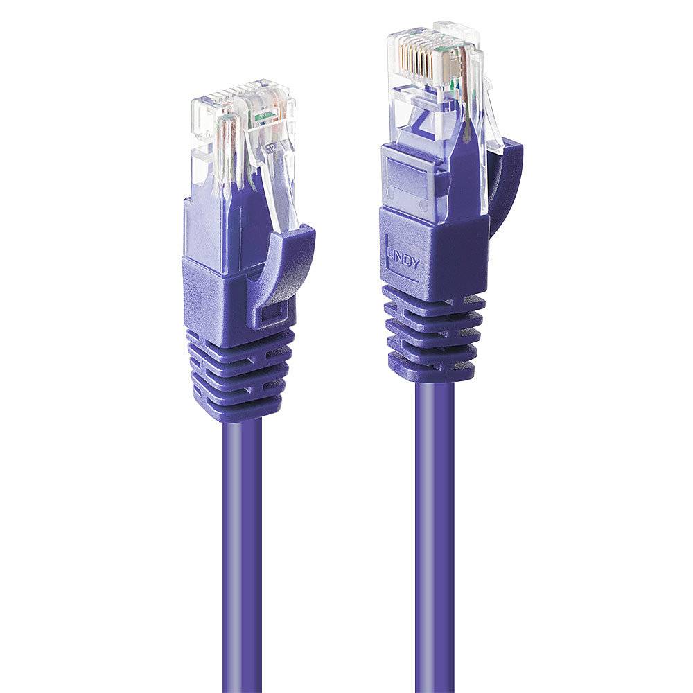Dva fialové ethernetové káble s priehľadnými konektormi ležia vedľa seba.