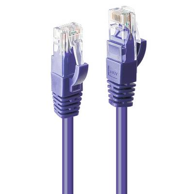 Dva fialové ethernetové káble s priehľadnými konektormi ležia vedľa seba.