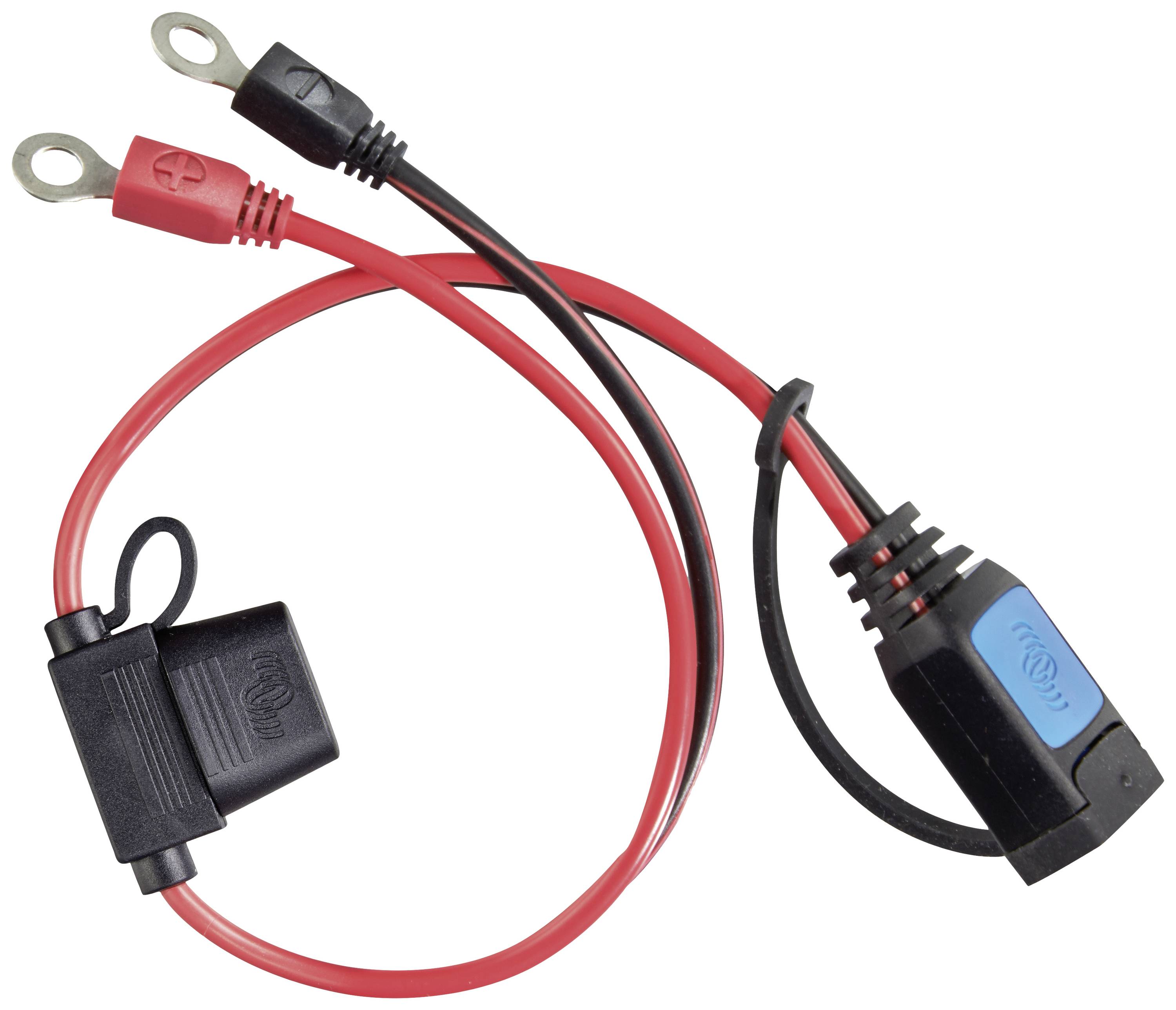 Victron Energy Cavo di collegamento M6 Kabelschuh-Steckverbinder Victron (mit 30A ATO-Sicherung)