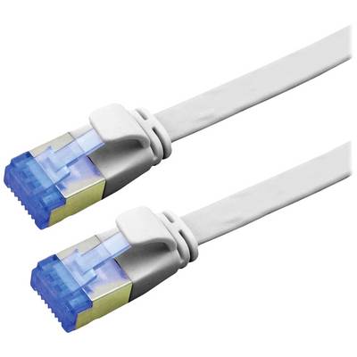 Dva sieťové alebo ethernetové káble s modrými RJ45 konektormi a bielymi káblami vedľa seba, ktoré sa používajú na prenos dát.