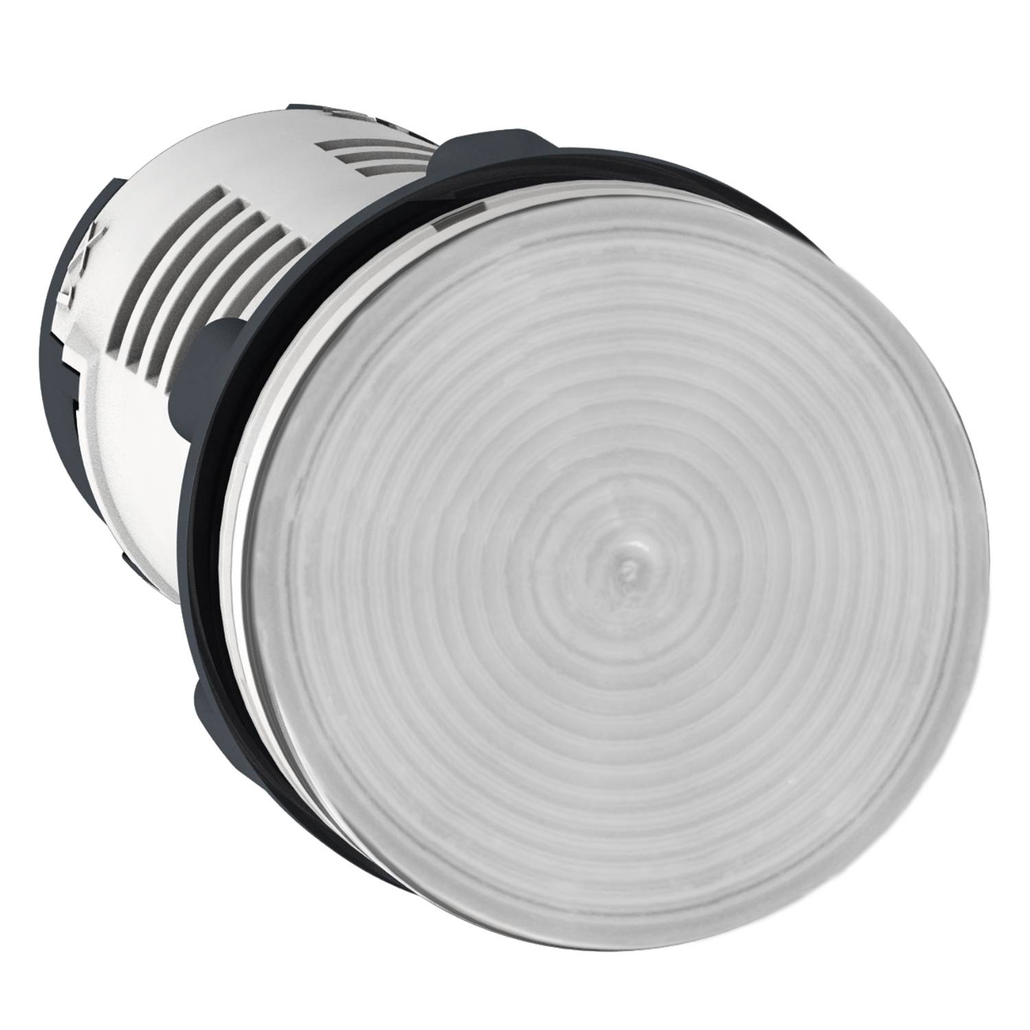 Schneider Electric Verlichte melder 10 stuk(s)