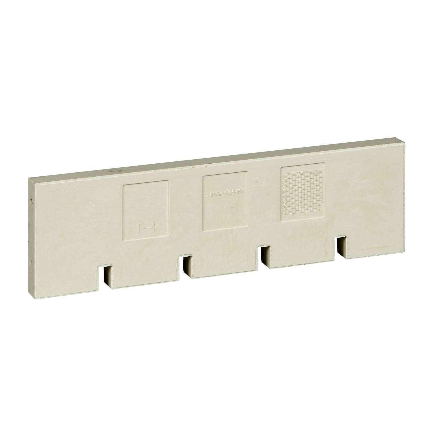 Schneider Electric Verzamelraildrager 1 stuk(s)