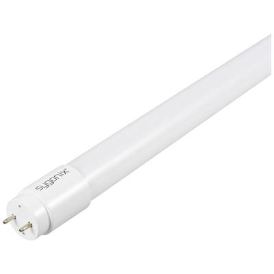 Biela LED trubica s dvoma kolíkmi na jednom konci, vhodná na osvetlenie. Na povrchu je čitateľný nápis 'sygonix'.