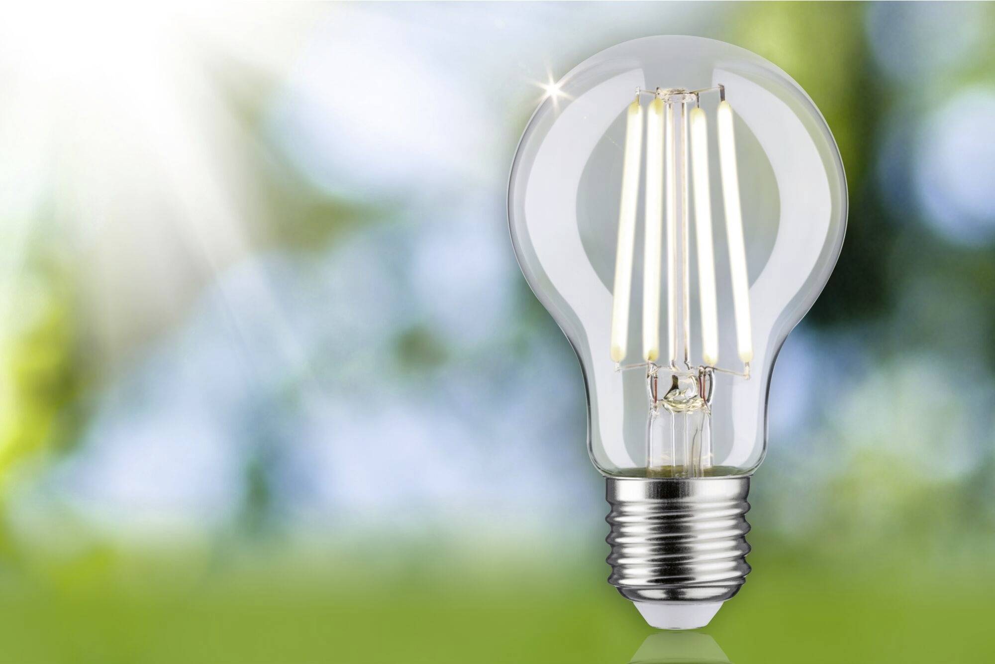 Žiarovka v jasnom slnečnom svetle s rozmazaným zeleným pozadím. Symbolika energie, inovácie alebo obnoviteľných zdrojov energie.