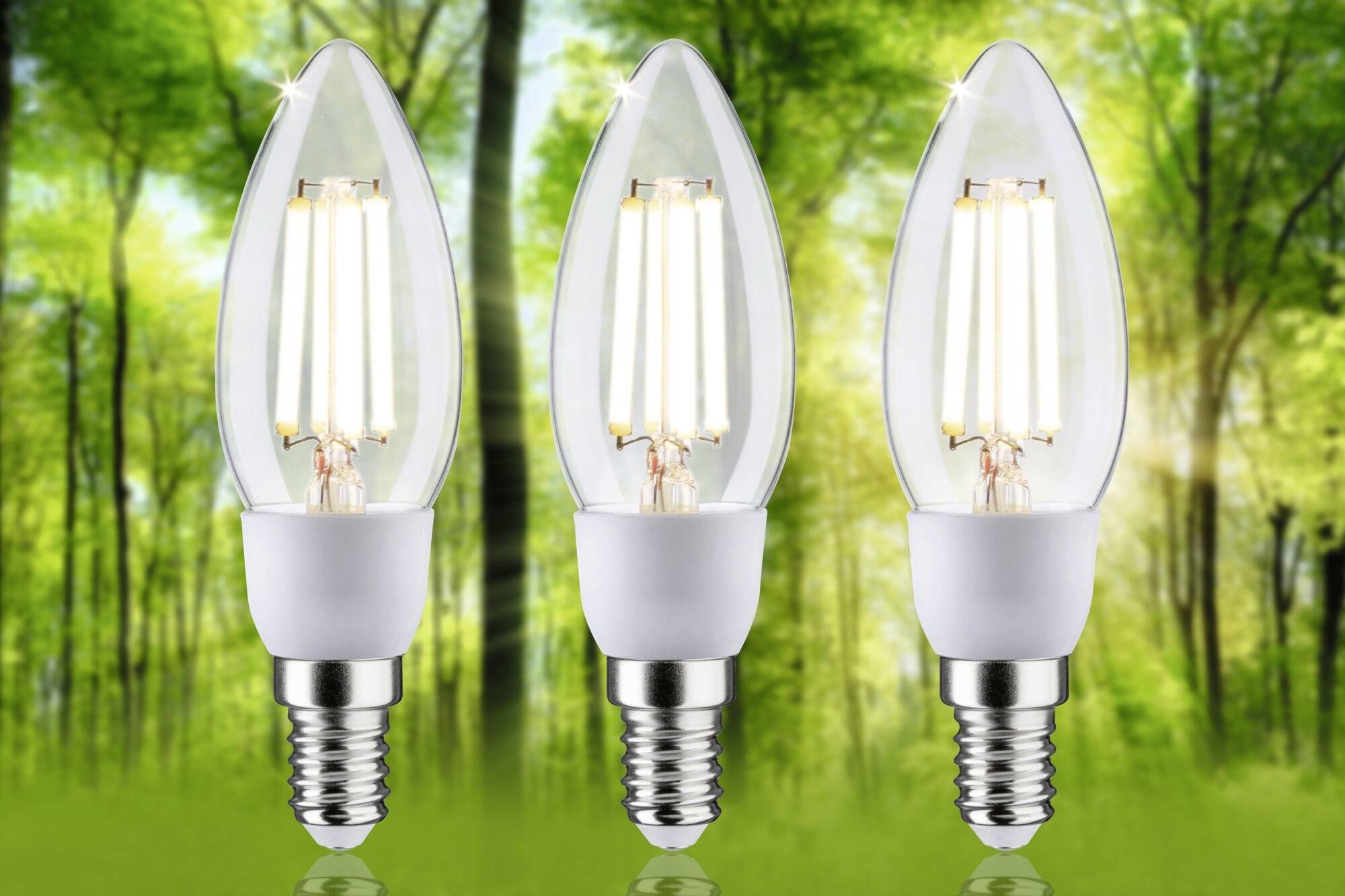 Tri LED žiarovky pred pozadím zeleného lesa, ktoré reprezentujú energetickú efektivitu a environmentálne povedomie.