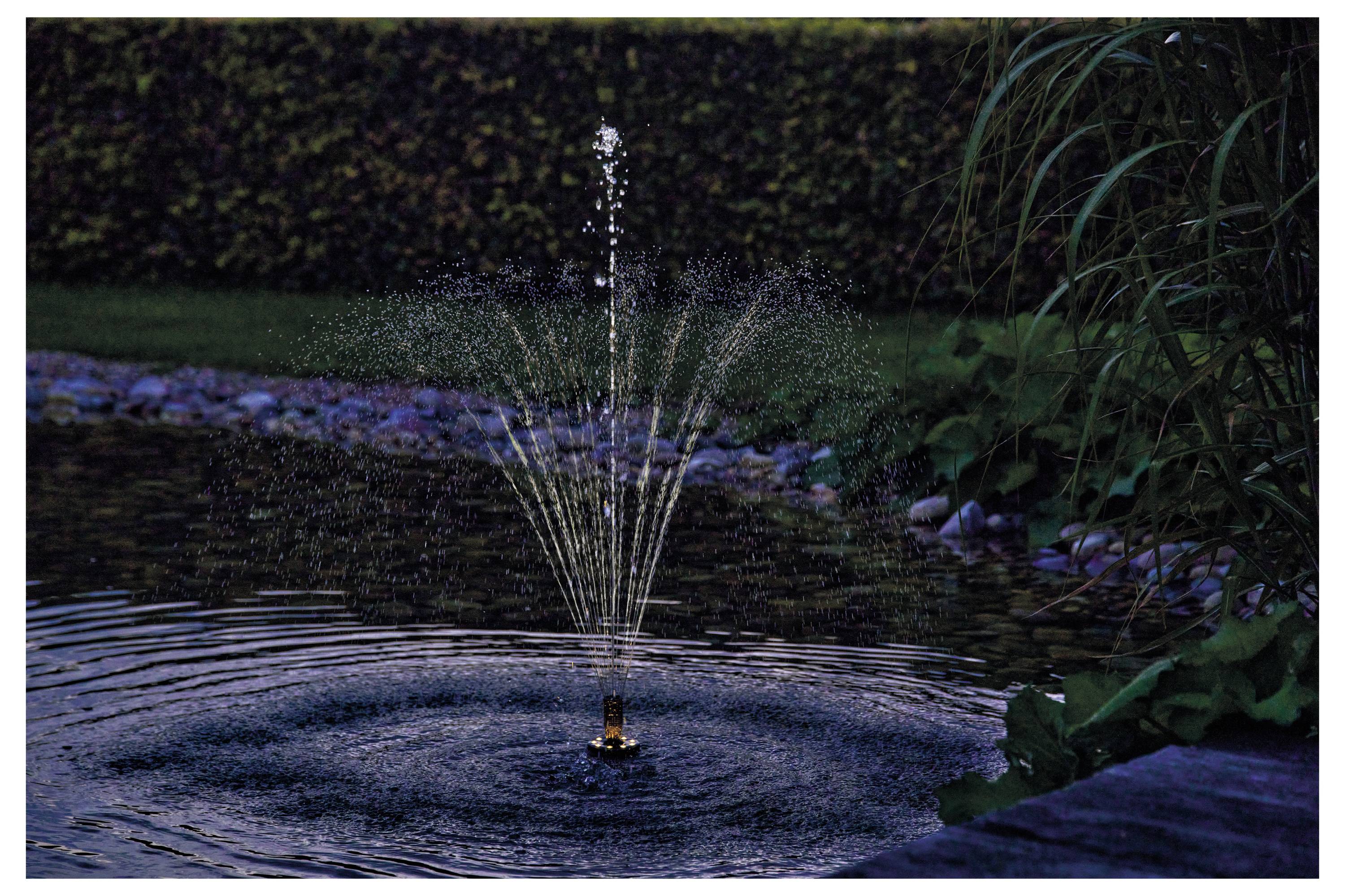 Záhradné jazierko s malou fontánou v strede. Voda strieká jemným oblúkom a vytvára vlnky. Hustá zeleň obklopuje jazierko.