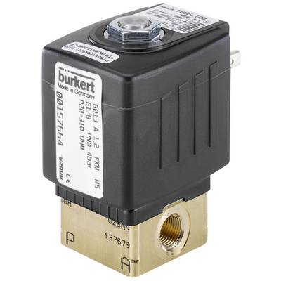 Elektromagnetický ventil spoločnosti Bürkert s mosadzným krytom a čiernymi plastovými komponentami, vhodný pre priemyselné aplikácie.