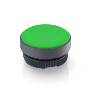 RAFI 1.74.508.001/2500 Spia retroilluminata Verde 1 pz.