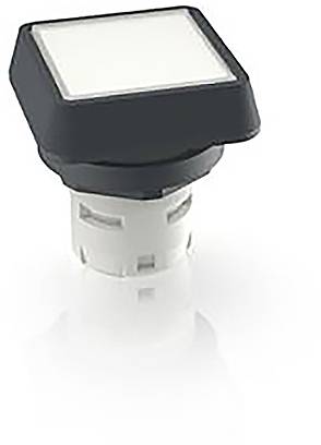 RAFI 1.30.070.001/1002 1.30.070.001/1002 Pulsante illuminato (L x L x A) 24.95 x 24.95 x 26.35 mm 1 pz.