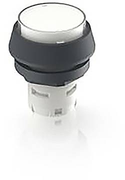 RAFI 1.30.070.071/1002 1.30.070.071/1002 Pulsante illuminato (L x L x A) 24.95 x 24.95 x 29.15 mm 1 pz.