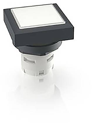 RAFI 1.30.070.201/1002 1.30.070.201/1002 Pulsante illuminato (L x L x A) 24.95 x 24.95 x 26.35 mm 1 pz.