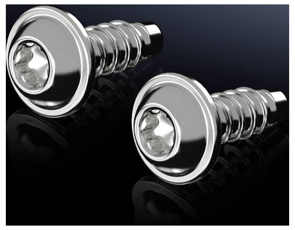 Rittal 1485.300 1485300 Vite per lamiera 50 pz.