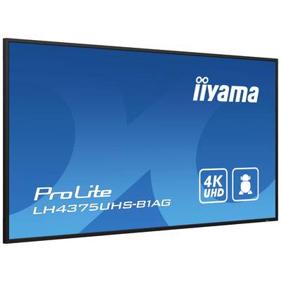Veľký monitor Iiyama s nápisom 'ProLite LH4375UHS-B1AG' a symbolmi pre 4K UHD a zobrazenie na výšku.