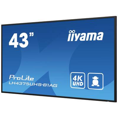 43-palcový monitor iiyama ProLite s rozlíšením 4K UHD.