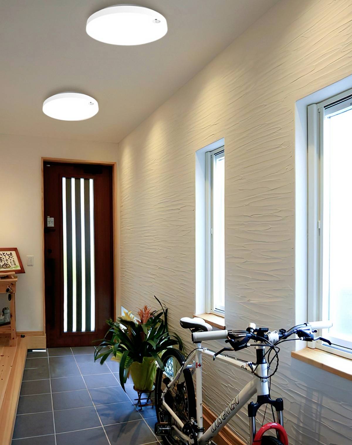 Bicykel v priestore pri vstupe do domu vedľa rastlín na dlaždicovej podlahe; moderné LED stropné svietidlá osvetľujú priestor.