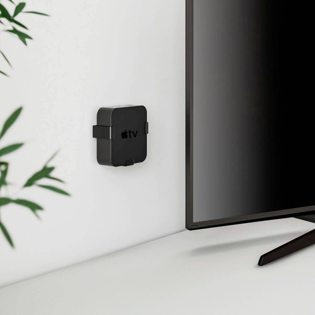 Čierny Apple TV je namontovaný na bielej stene vedľa veľkej plochej obrazovky. Vľavo sú viditeľné zelené listy.
