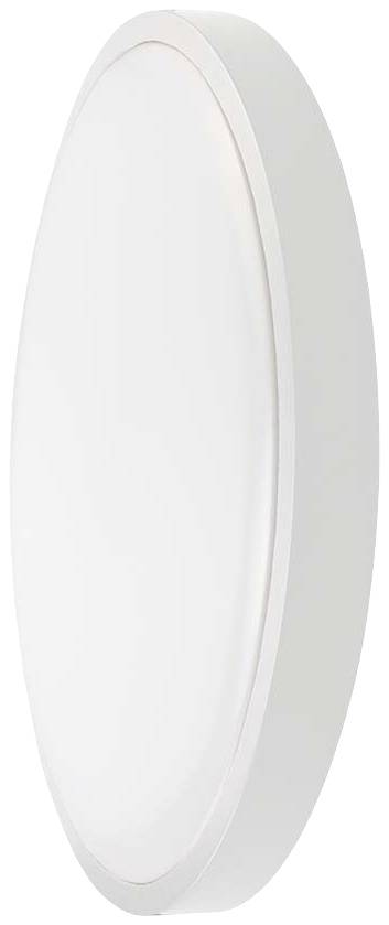 Biela, oválna nástenná lampa s jednoduchým dizajnom. Poskytuje rovnomerné, difúzne rozptýlené svetlo a hodí sa do moderných interiérov.