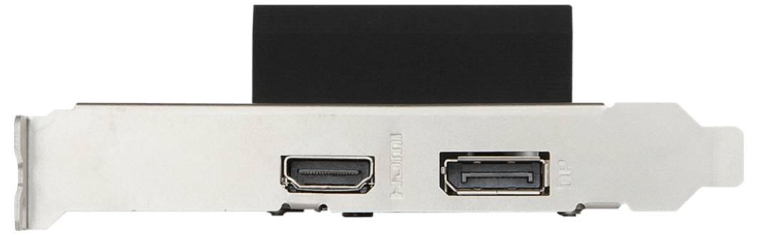 Dva konektory na kovovej doske: jeden HDMI a jeden DisplayPort konektor. Primárne používané na pripojenie monitorov.