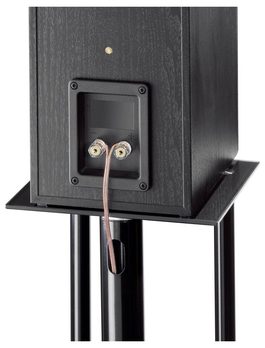 Reproduktor na stojane, zadná strana so zobrazením dvoch káblových prípojok. Jednoduché, čierne dizajnové prevedenie.