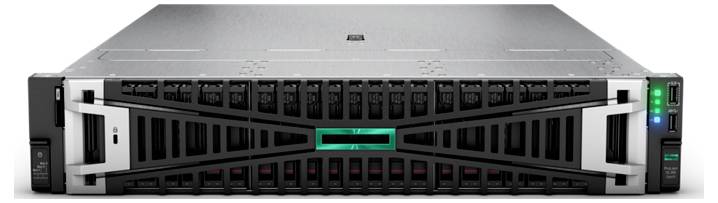 Hewlett Packard Enterprise Server DL385 G11 9124 32 GB RAM 480 GB SSD P77245-425