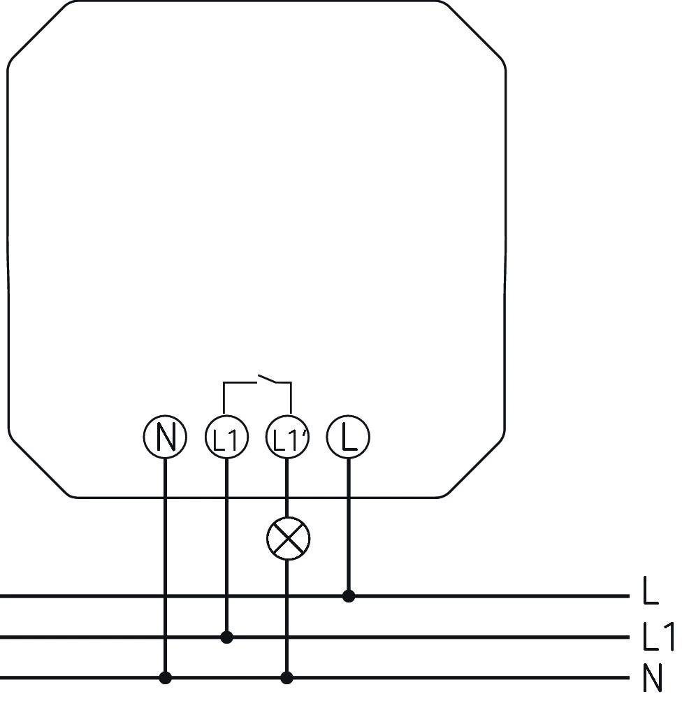 Elektrický schematický výkres: Symbol žiarovky prepojený medzi vodičmi L1 a N. Vodiče sú označené L, N a uzemnením.