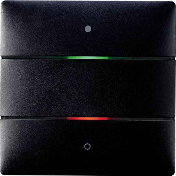 Theben KNX 4969242 dotykový senzor    iON 102 KNX BK