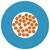 Modrý kruh s vnútorným bielym kruhom, ktorý obsahuje mnoho malých oranžových bodiek roztrúsených náhodným spôsobom.