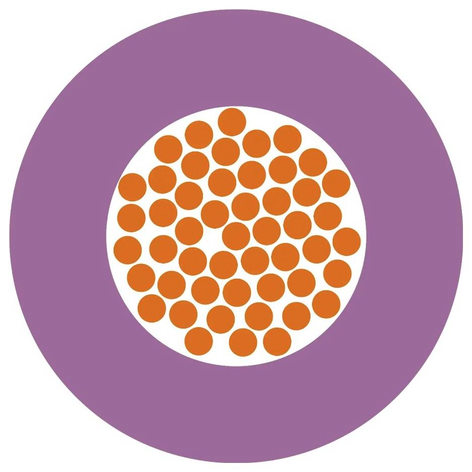 Fialový kruh obsahuje biely kruh s mnohými malými oranžovými bodkami.