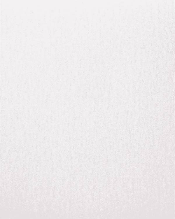 PFERD TOOLS BP ECO AC 230X280 A 180 45015246 brúsny papier  Zrnitosť 180  (d x š) 280 mm x 230 mm 50 ks