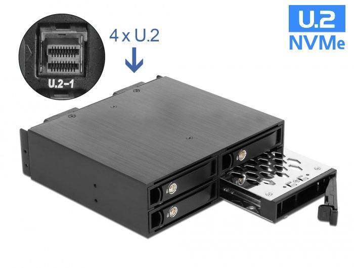 Delock 47235 výmenný rámček na pevný disk SAS, SATA-2