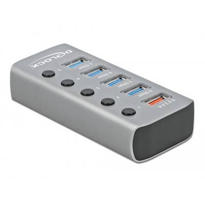 Delock 63262 4 + 1 port USB Hub sivá-0