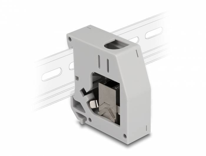 Delock 86959 adaptér na DIN lištu Keystone CAT 6A-1