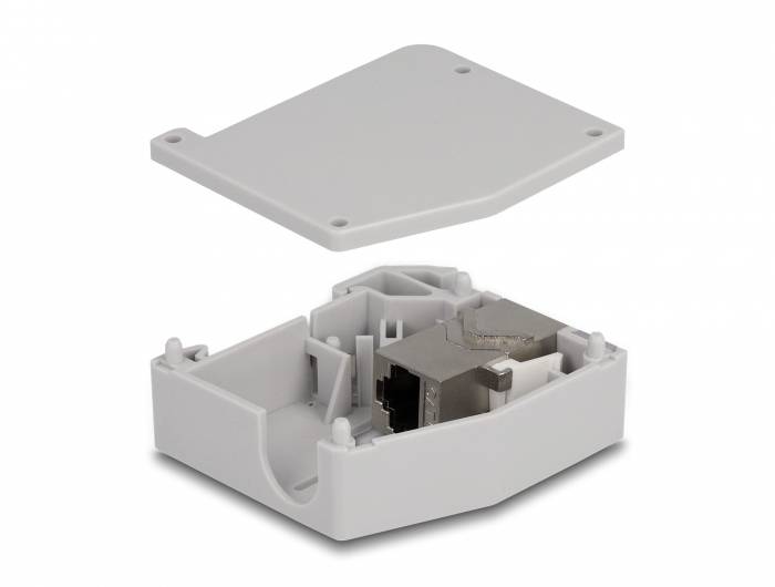 Delock 86959 adaptér na DIN lištu Keystone CAT 6A-2