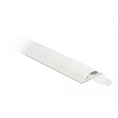 Delock Káblová lišta PVC biela (d x š x v) 1 m x 50 mm x 12 mm 1 ks 20705-0