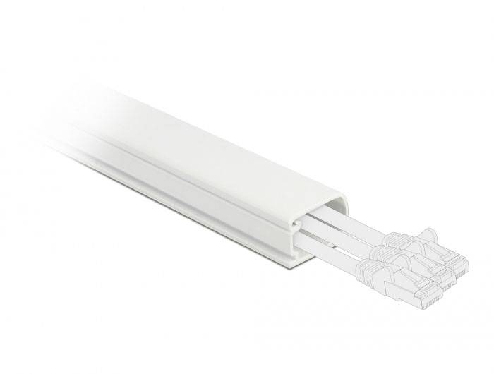 Delock Káblová lišta PVC biela (d x š x v) 1 m x 22 mm x 15 mm 1 ks 20720-2