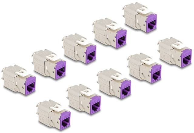 Delock 88121 zabudovaný modul RJ45 Keystone CAT 6A-0