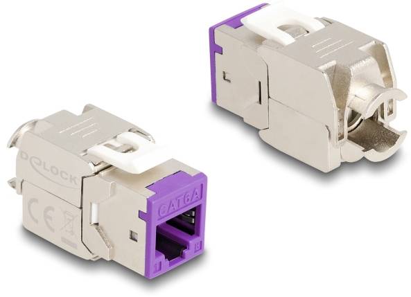 Delock 88121 zabudovaný modul RJ45 Keystone CAT 6A-2