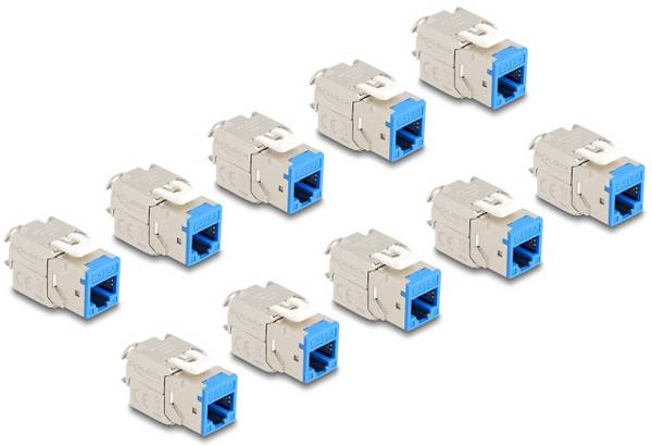 Delock 88113 zabudovaný modul RJ45 Keystone CAT 6A