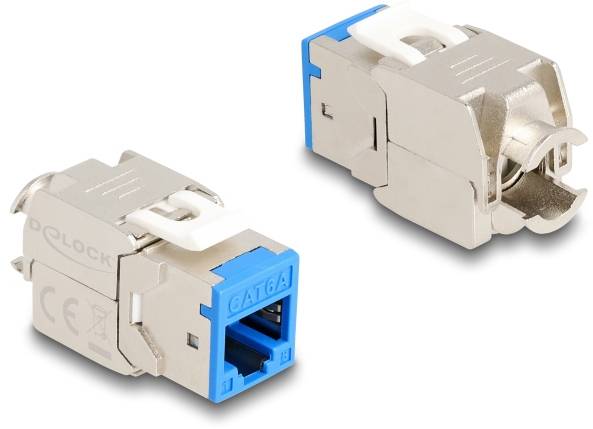 Delock 88113 zabudovaný modul RJ45 Keystone CAT 6A-2
