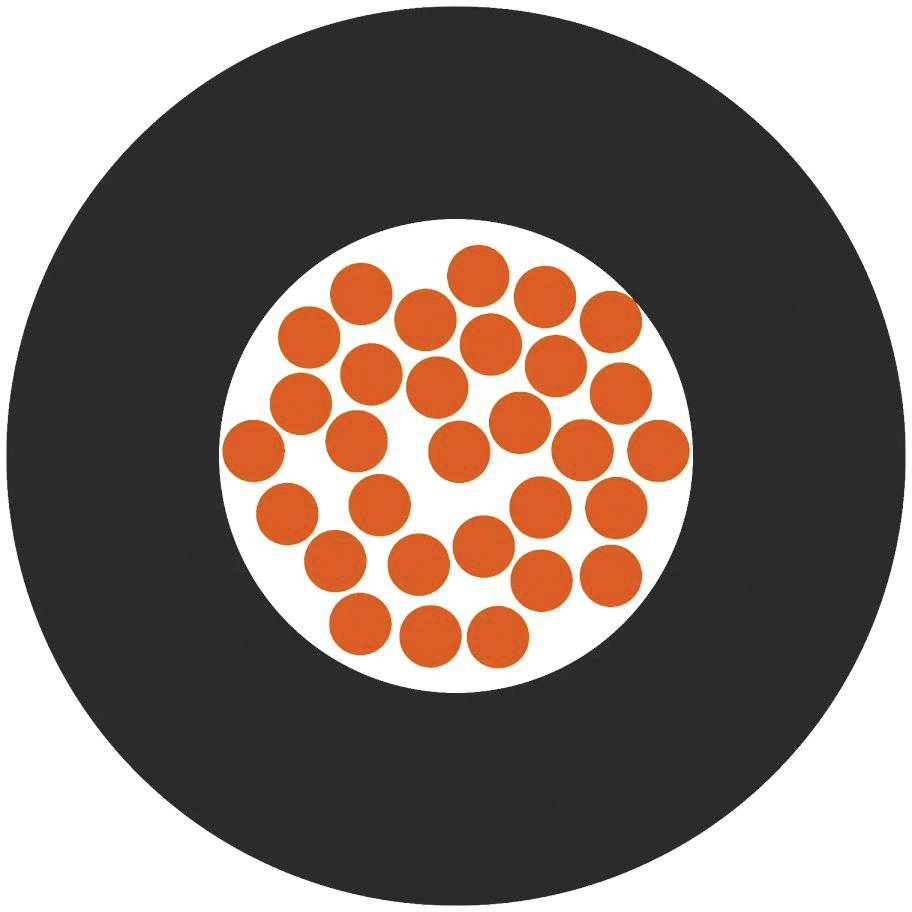 Čierny kruh s vnútorným bielym kruhom, ktorý je vyplnený niekoľkými malými, rovnomerne rozmiestnenými oranžovými bodkami.