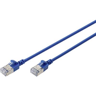 Modrý ethernetový kábel s dvoma RJ45 konektormi.