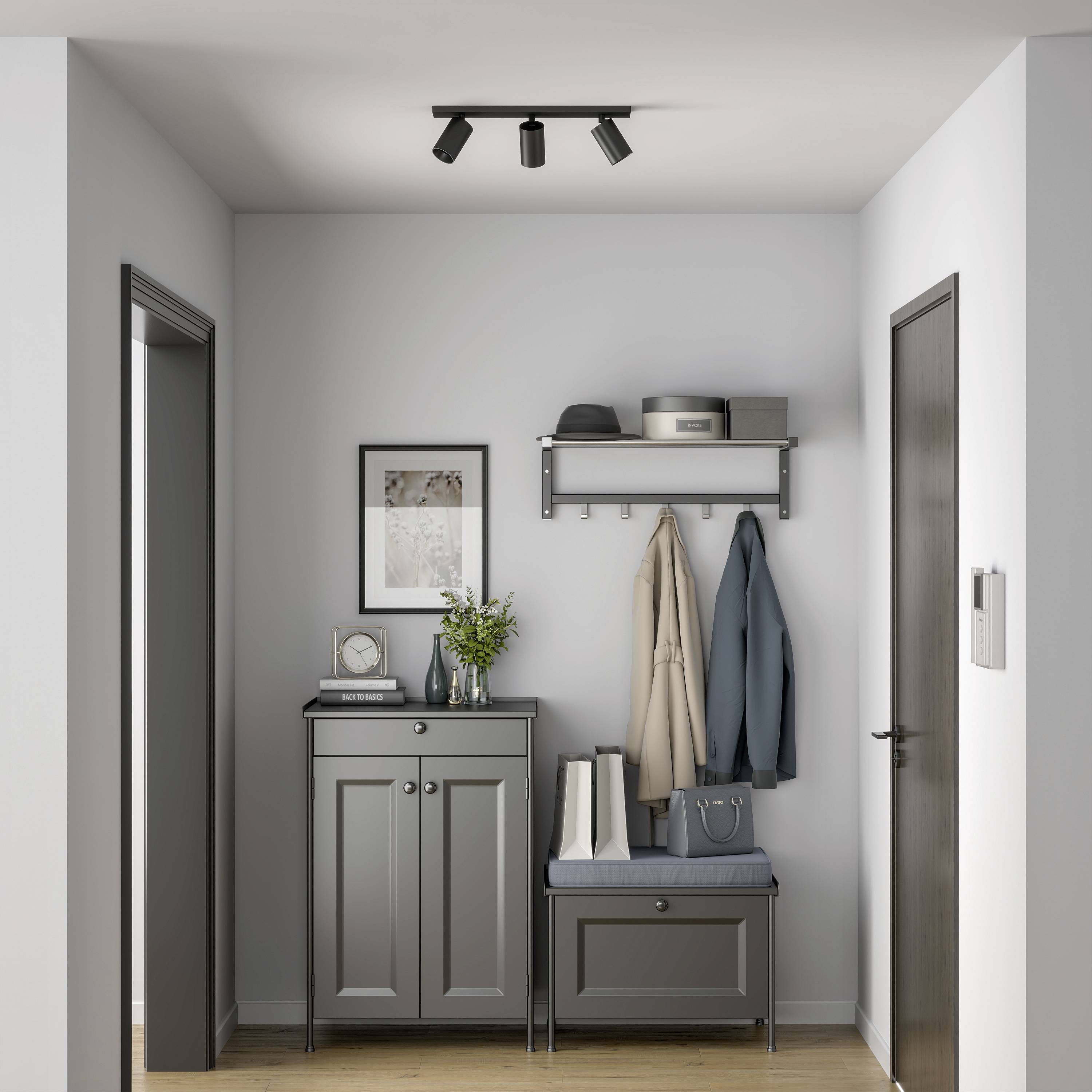 Vstupná hala s sivým nábytkom; komoda s rastlinou a fotografickým rámom, vedľa police s bundami a nákupnými taškami.