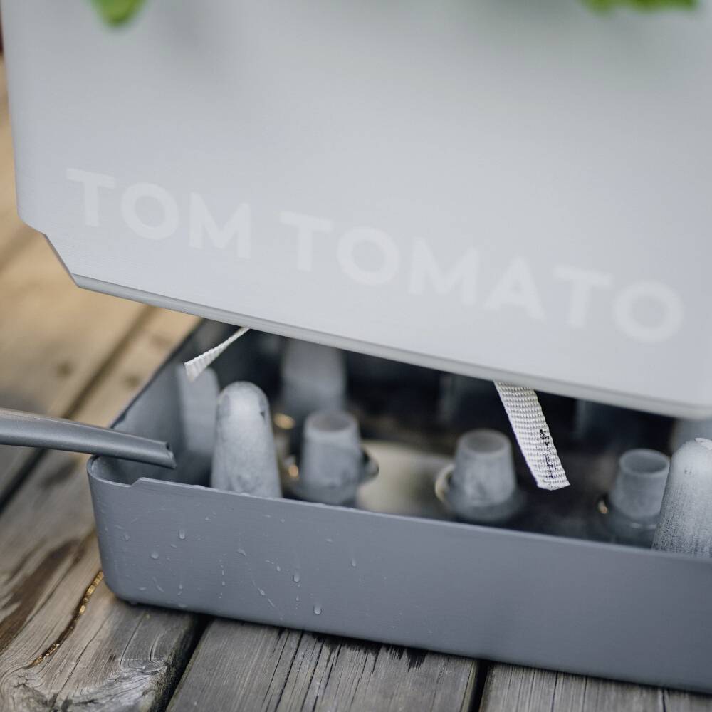 Sivý pestovateľ rastlín s názvom 'Tom Tomato', so zelenými sadenicami, stojí na drevenom stole. Je pripojená zavlažovacia hadica.