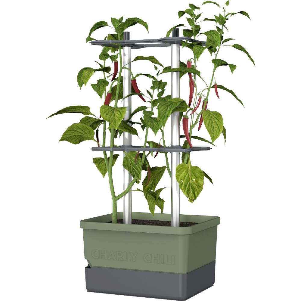 Zelený kvetináč s rastlinami čili a červenými čili papričkami, podopretý strieborným stojanom.
