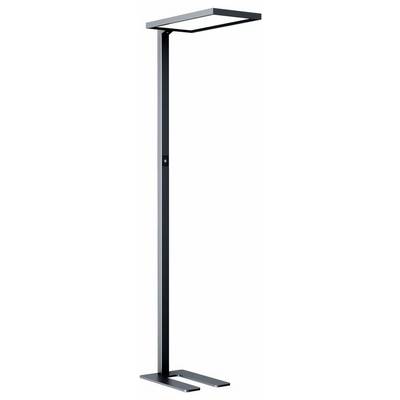 Stojaca lampa s obdĺžnikovou svetelnou hlavou a štíhlym, moderným dizajnom, ideálna na osvetlenie kancelárskych priestorov.