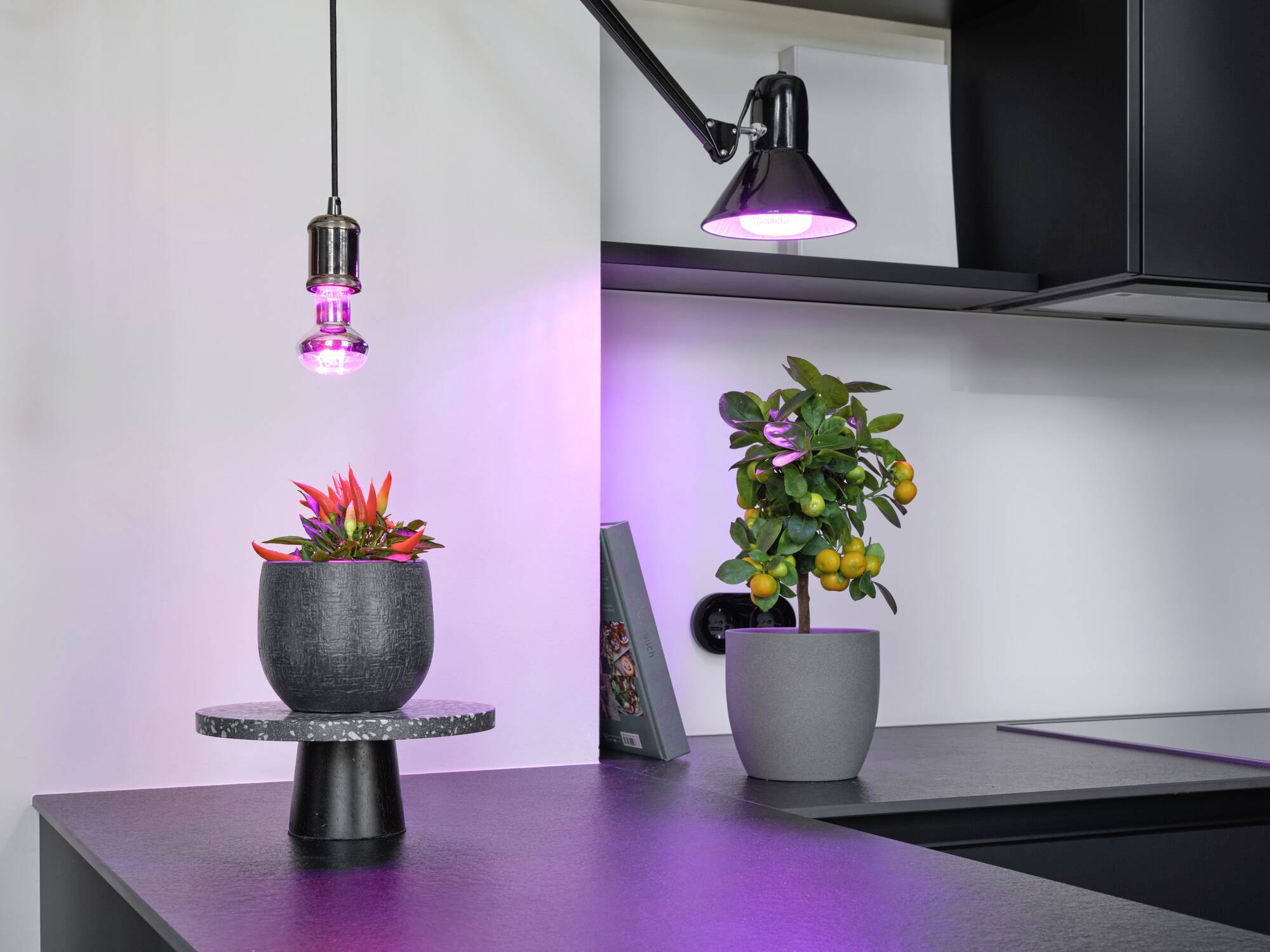 OSRAM HOMELIGHTING 4058075845787 osvetlenie pre rast rastlín E27 10 W 1 ks-3
