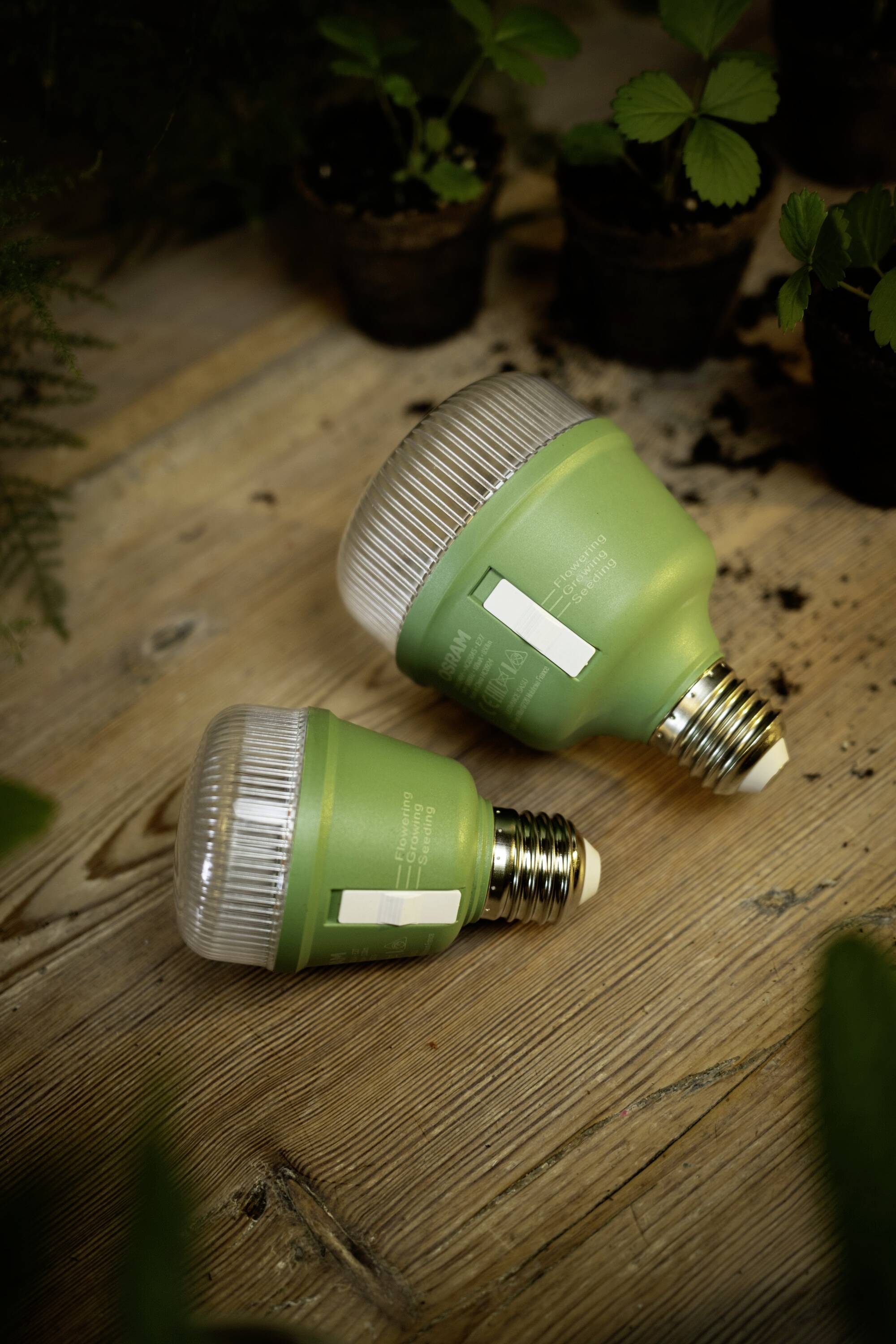OSRAM HOMELIGHTING 4058075845787 osvetlenie pre rast rastlín E27 10 W 1 ks-4