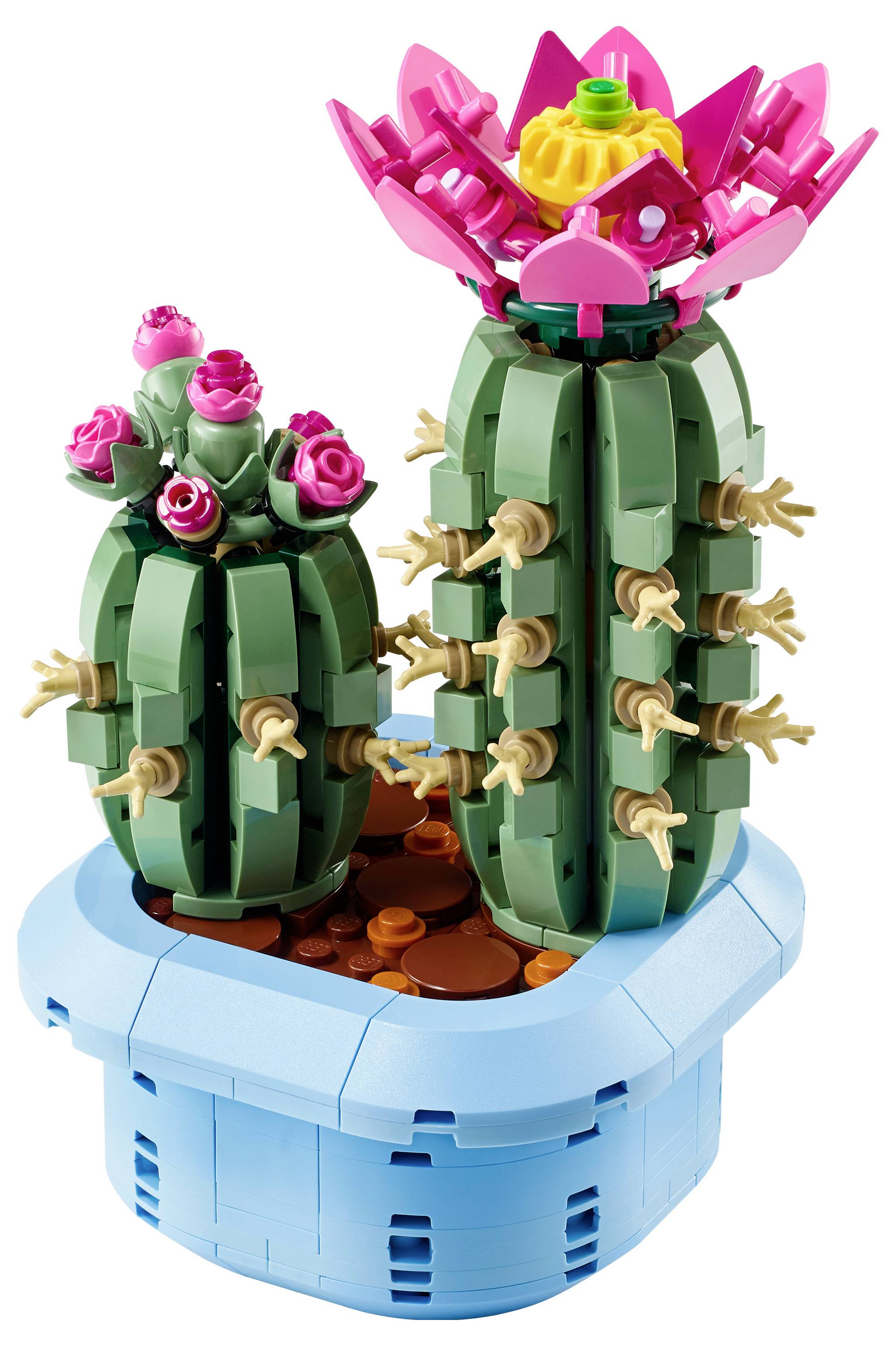 Dva LEGO kaktusy s kvetmi v modrom kvetináči; jeden kaktus nesie ružové ruže, druhý má ružové a žlté kvety, oba s malými hnedými tŕňmi.